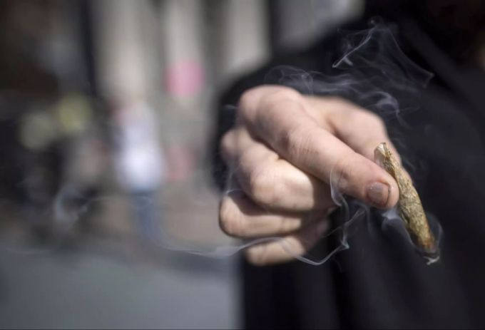 Wenn man als Kifffer angehalten wird, solle man im Notfall auch lügen. Cannabis Konsum