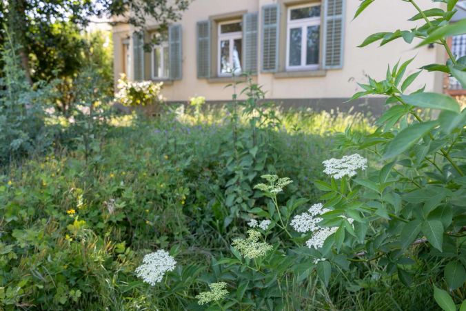 Schützenmattstrasse