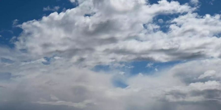 Ein Weizenfeld bei Bad Soden im Taunus leuchtet im Sonnenschein, während Regenwolken über der Skyline von Frankfurt am Main hinwegziehen. Foto: Arne Dedert/dpa