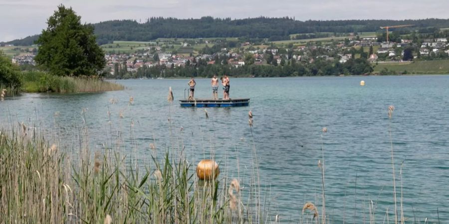 Hallwilersee Boniswil