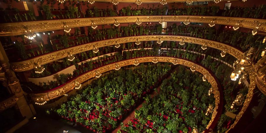 dpatopbilder - Musiker proben im Gran Teatre del Liceu, wobei alle 2.292 Sitzplätze mit Pflanzen besetzt sind. Foto: Emilio Morenatti/AP/dpa