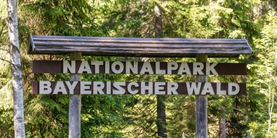 Die Corona-Krise beschert dem Nationalpark Bayerischer Wald einen enormen Andrang an Besuchern. Foto: Armin Weigel/dpa