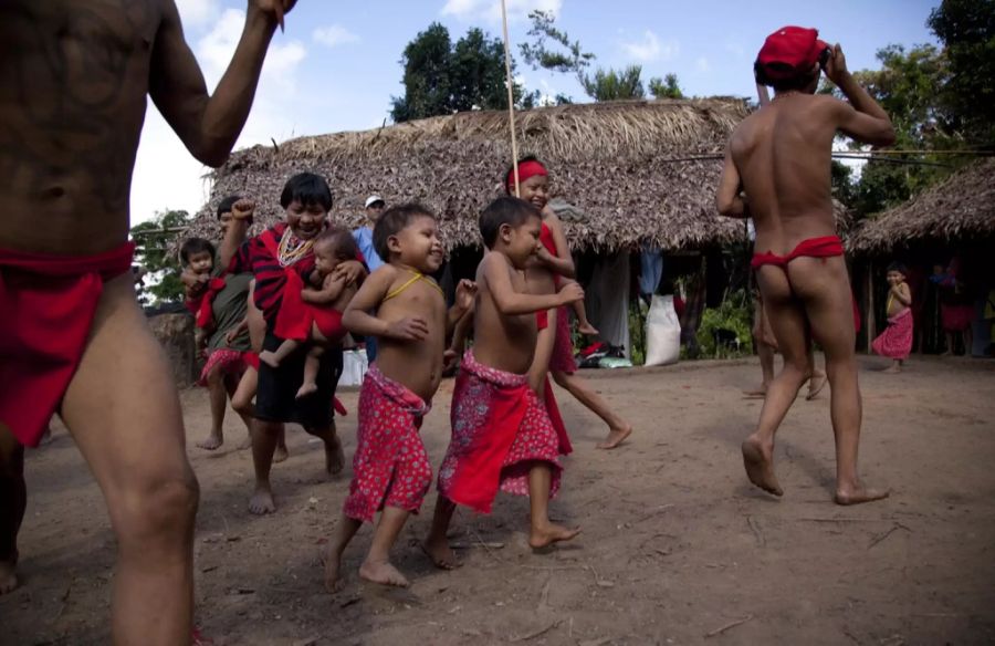 Yanomami Corona