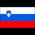 Logo Slovenia U17