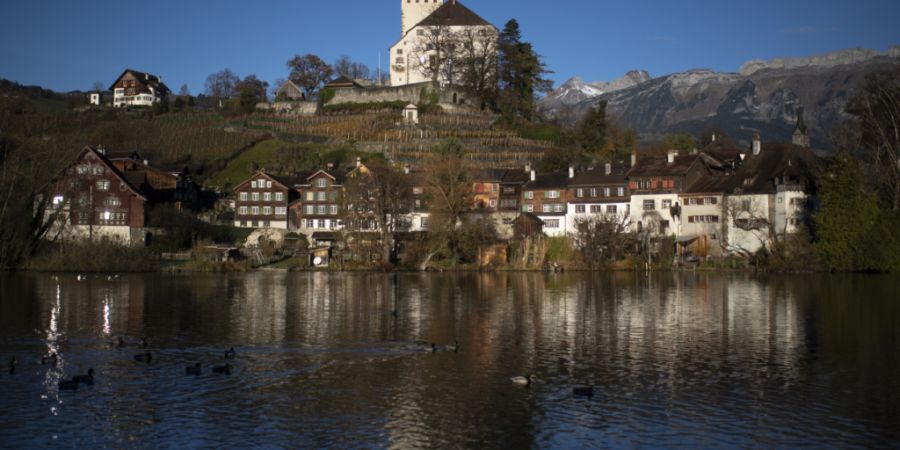 Aus einem Auto floss Öl in den See beim Städtchen Werdenberg SG. (Archivbild)