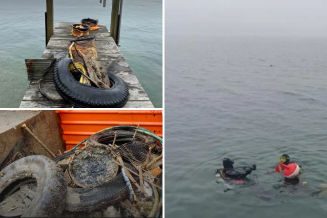 Taucher Thunersee putzen