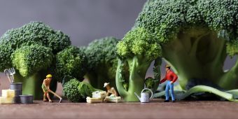 Brokkoli Miniaturfiguren Landwirtschaft grün