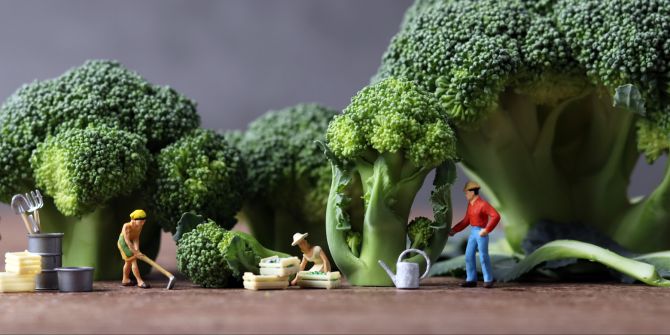 Brokkoli Miniaturfiguren Landwirtschaft grün