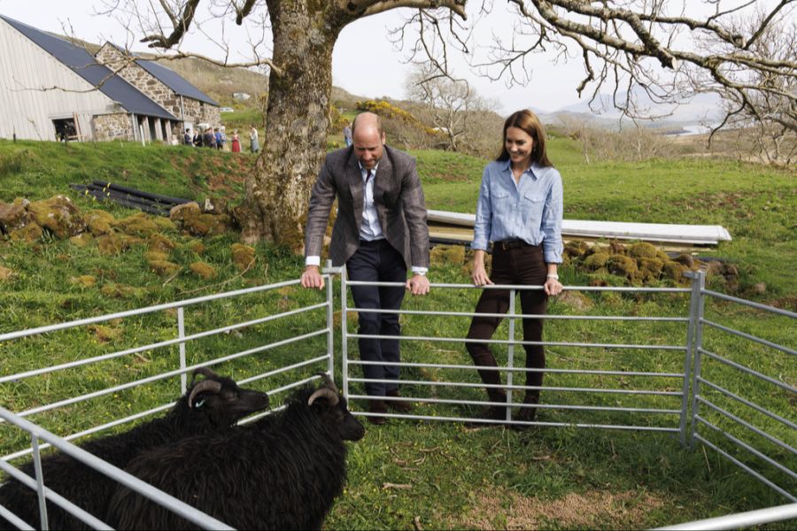 william und kate
