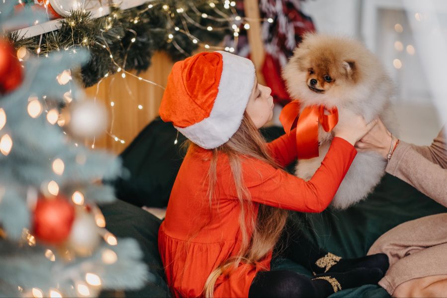 Tiere zu weihnachten verschenken