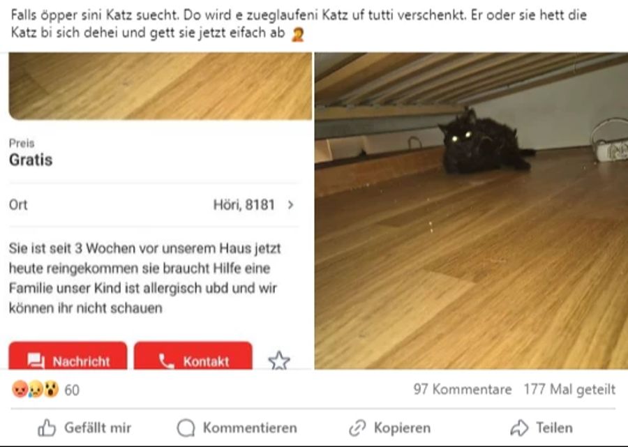 «Falls jemand seine Katze sucht», schreibt ein aufmerksamer Aargauer, dem das Inserat aufgefallen ist.