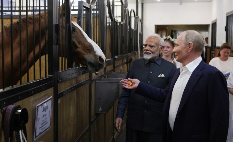 Putin zeigt dem indischen Präsidenten seinen Stall in der Residenz Novo-Ogaryovo ausserhalb Moskaus.