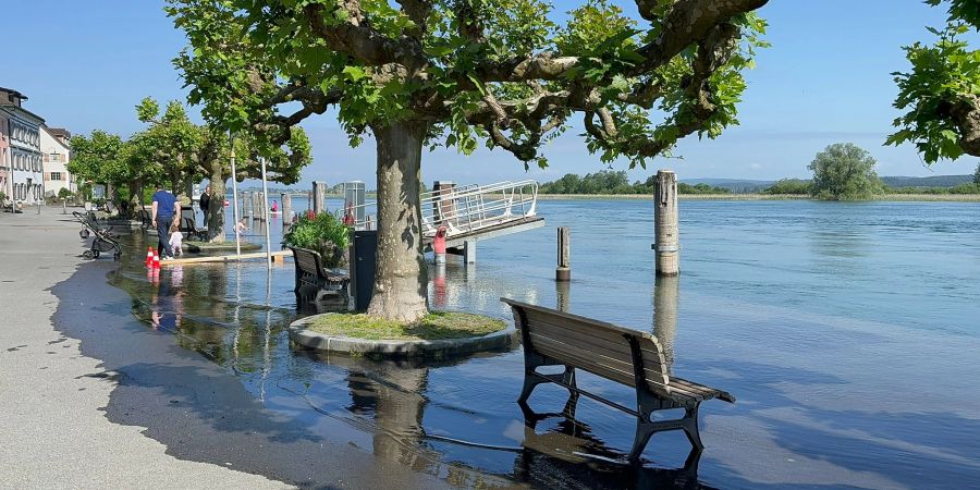 Im thurgauischen Gottlieben ist der Rhein zwischen dem Bodensee und dem Untersee über das Ufer getreten.