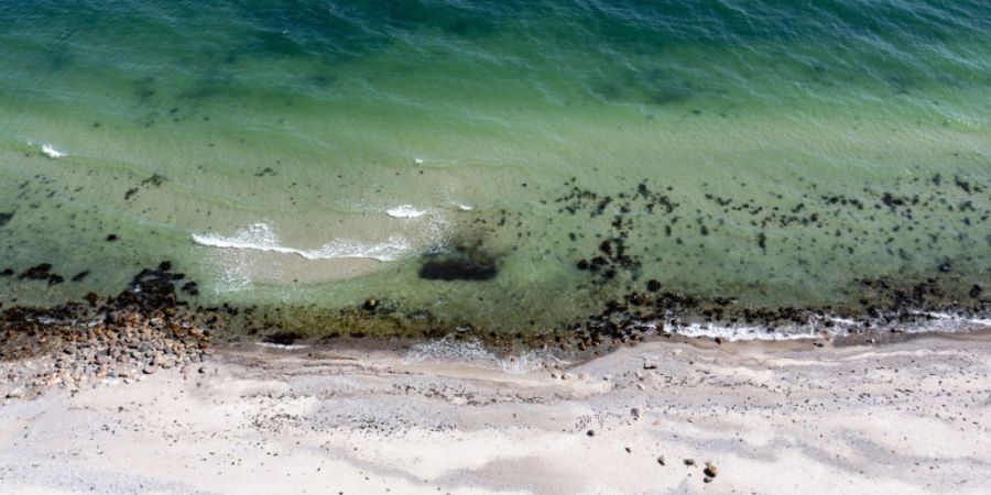 Fast überall an Europas Küsten ist das Meerwasser extrem warm. (Archivbild)