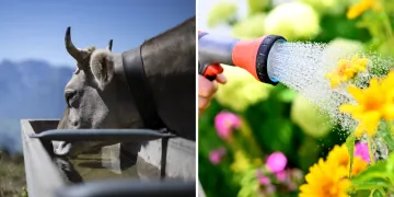 landwirtschaft