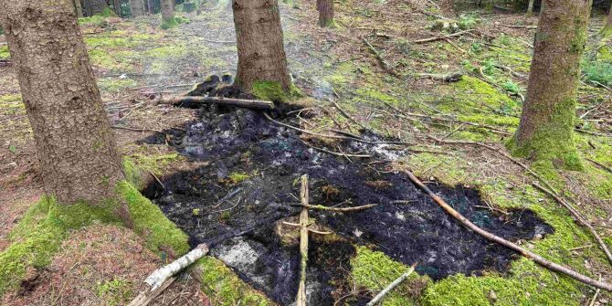 Schmerikon Waldbrand