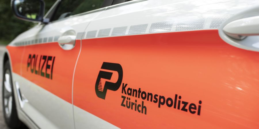 Auf der Flucht vor einer Polizeipatrouille verletzte sich in der Nacht auf Sonntag ein Autofahrer in Ottikon ZH lebensbedrohlich. (Symbolbild)