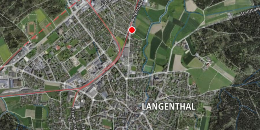 Eine Autofahrerin ist am Montag auf der Murgenthalstrasse in Langenthal vom Kurs abgekommen.