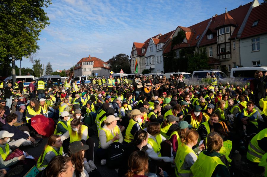 AfD