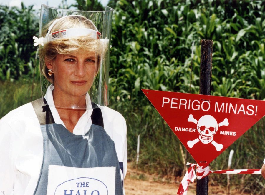 Doch es gibt auch Gerüchte, wonach Prinz Harry einen Film über seine verstorbene Mutter Diana plant.