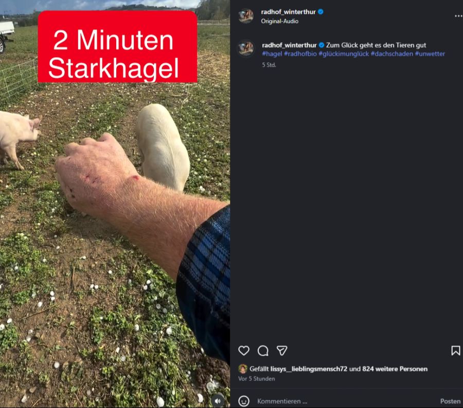Doch auch der Bauer selbst blieb nicht verschont: Das Unwetter hinterliess deutliche Verletzungen an seinem Arm.