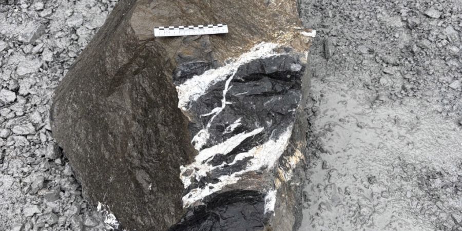 Ein Stein hatte sich aus der Felswand gelöst. Fragmente verletzten den 59-jährigen Arbeiter schwer. (Archivbild)