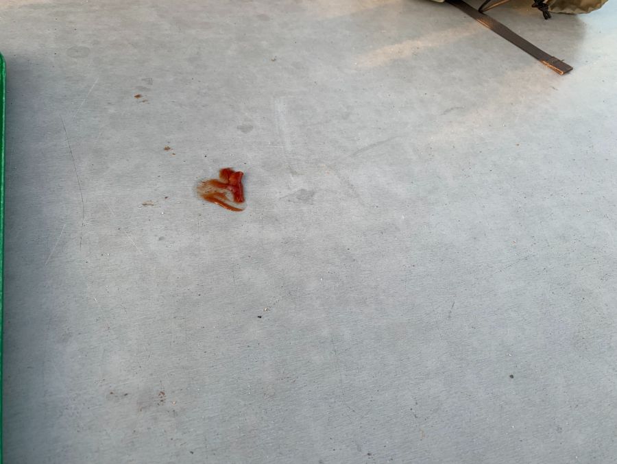 Die Tische auf der Terrasse sind mit Ketchupflecken verschmiert ...