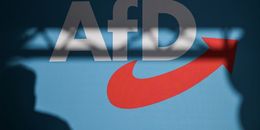 ARCHIV - Ein Redner wirft einen Schatten auf die Bühnenrückwand mit AfD-Schriftzug auf einer Veranstaltung. Foto: Hannes P Albert/dpa