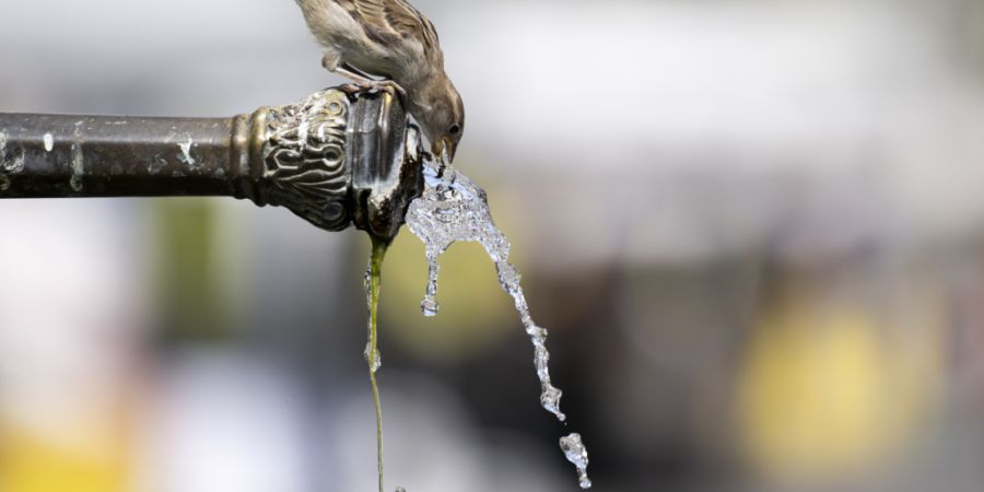 Der Druck auf die Wasserresourcen steigt auch im Kanton Luzern. (Symbolbild)