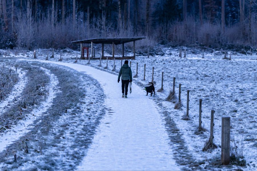 Grund dafür ist der Westwind, der milde Temperaturen in die Schweiz bringt. (Symbolbild)