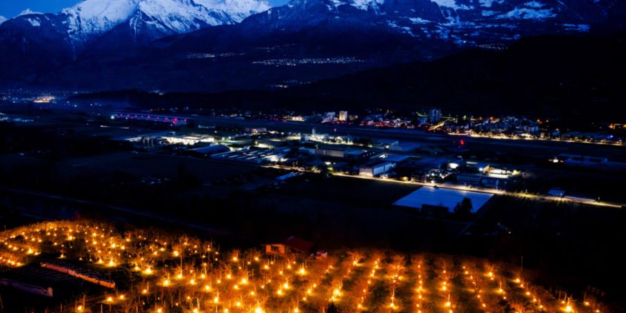 Unter anderem mit Kerzen wollen die Walliser Obstbauern Aprikosenbäume vor dem Frost schützen.
