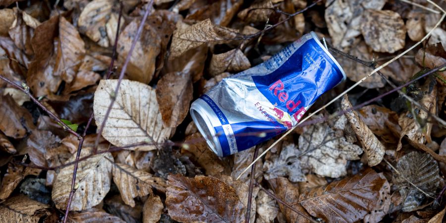 Die Kehrseite: Wildcamper verursachen oft Umweltbelastung durch Fäkalien oder Müll in der Natur.