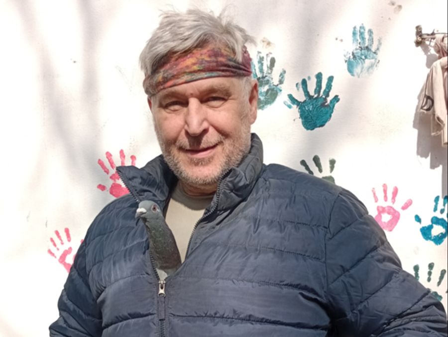 «Eine Taube gehört frei – da würde ich prinzipiell jedem Kritiker Recht geben», sagt Michael Bübl.