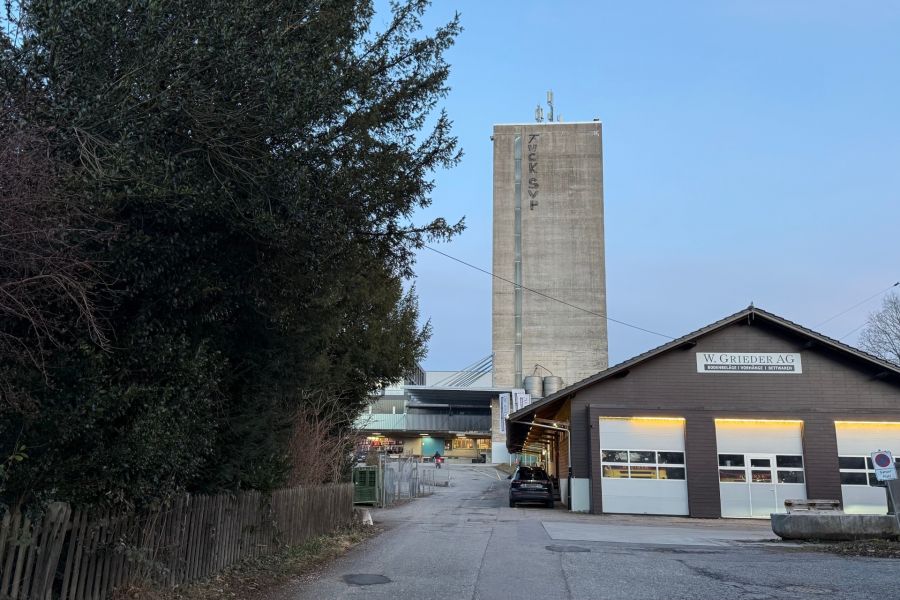 Entstanden ist die Schmiererei vermutlich im Rahmen einer Demonstration gegen Rechtsextremismus.