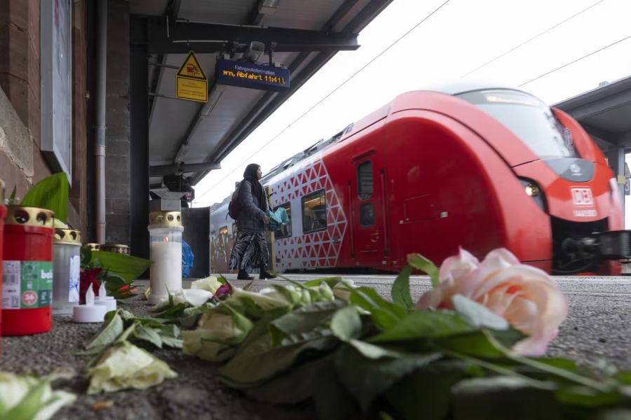 In Ludwigshafen wurde der Zugbegleiter Serkan C. während einer Fahrkartenkontrolle tödlich verletzt. (Archivbild)