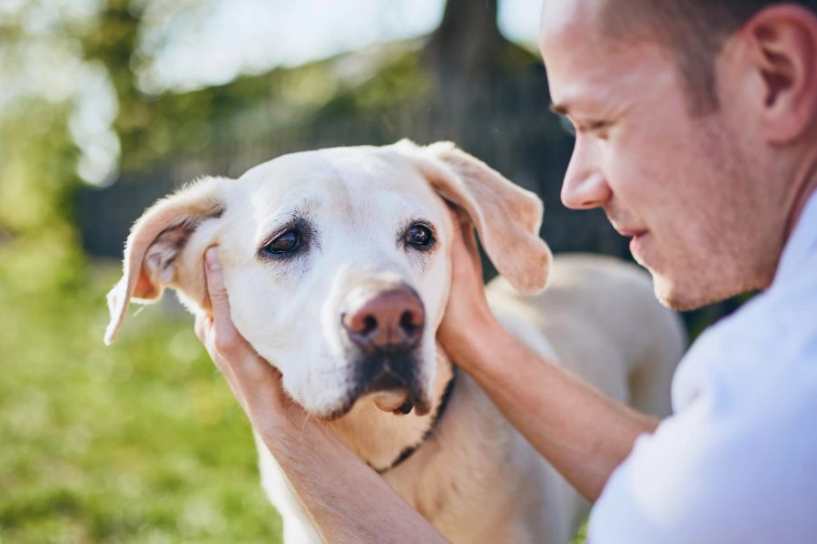 Mann mut Hund