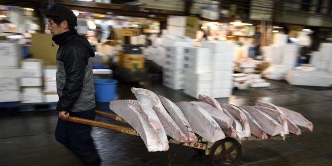 Bei der Neujahrsauktion in Tokio erzielte ein Blauflossen-Thunfisch einen Spitzenpreis von 1,19 Millionen Franken. Thunfisch