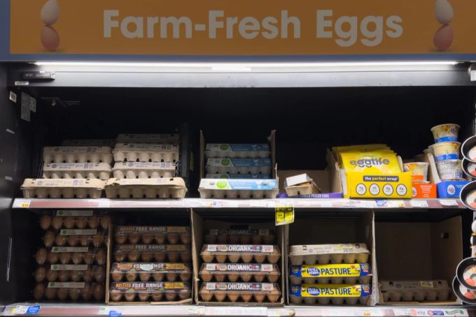 Besonders die Preise für Eier sind in den USA stark gestiegen. usa