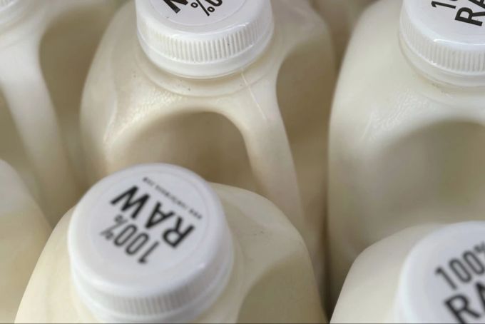 Per Bundesverordnung werden in den USA landesweit Milchproben getestet. Durch Rohmilch-Konsum steigt die Gefahr, sich mit dem Virus zu infizieren. (Archivbild) Virus Vogelgrippe