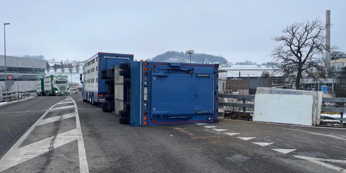 Bazenheid: Anhänger mit Tieren umgekippt. Anhänger gekippt