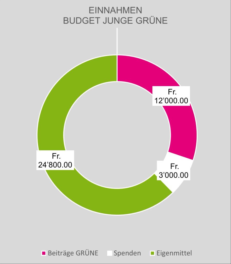 Die Einnahmen der Jungen Grünen Luzern.