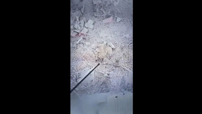 20240331-ssstwitter