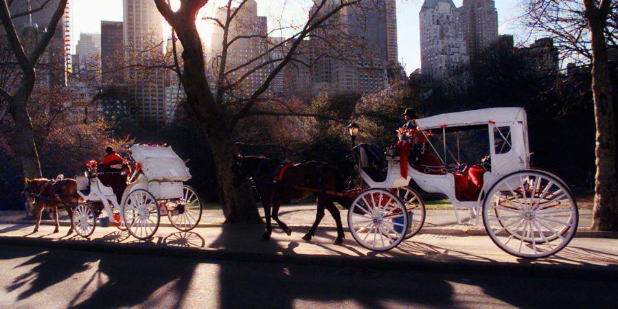 new york