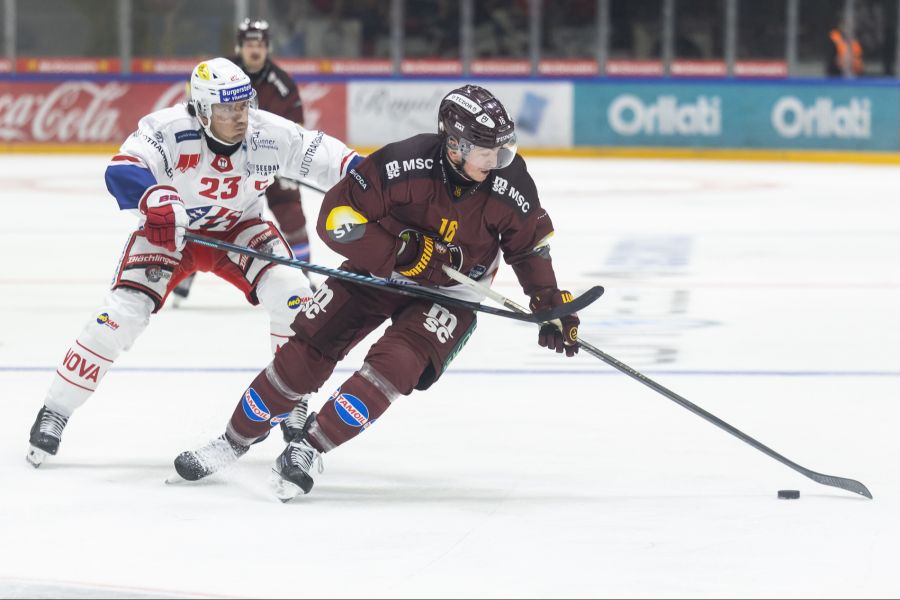 Rapperswil-Jona Lakers
