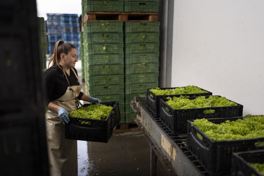 Die Ernährungsinitiative fordert, dass der Bund einen Selbstversorgungsgrad von mindestens 70 Prozent anstrebt.