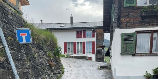 Viehherde vertrampelt