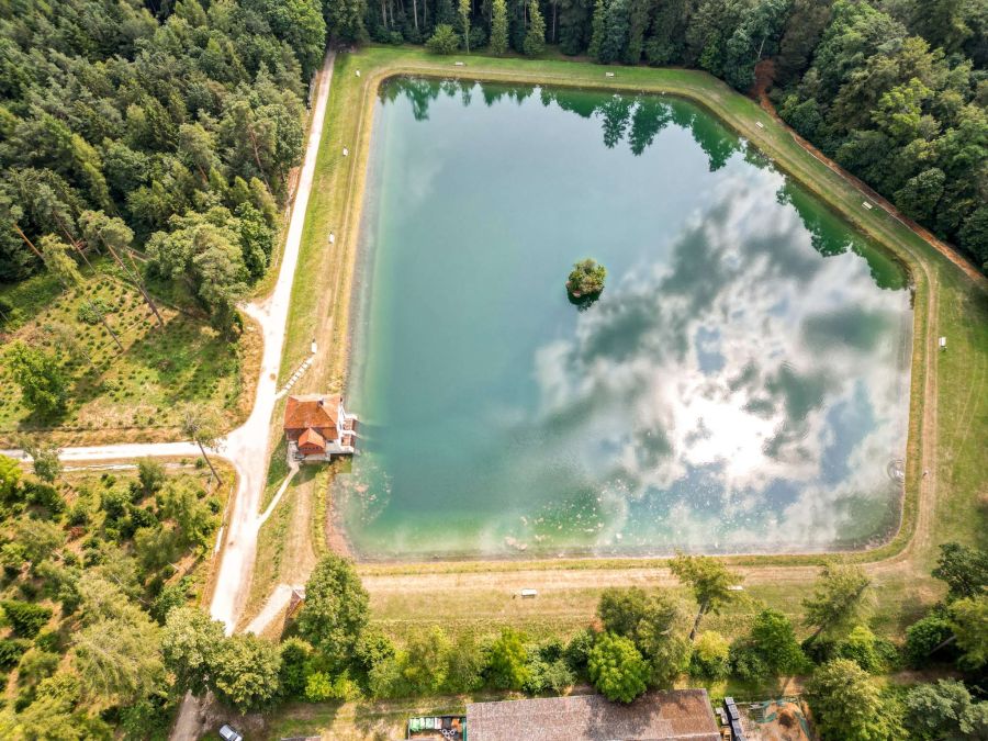 Engeweiher Schaffhausen Picknick