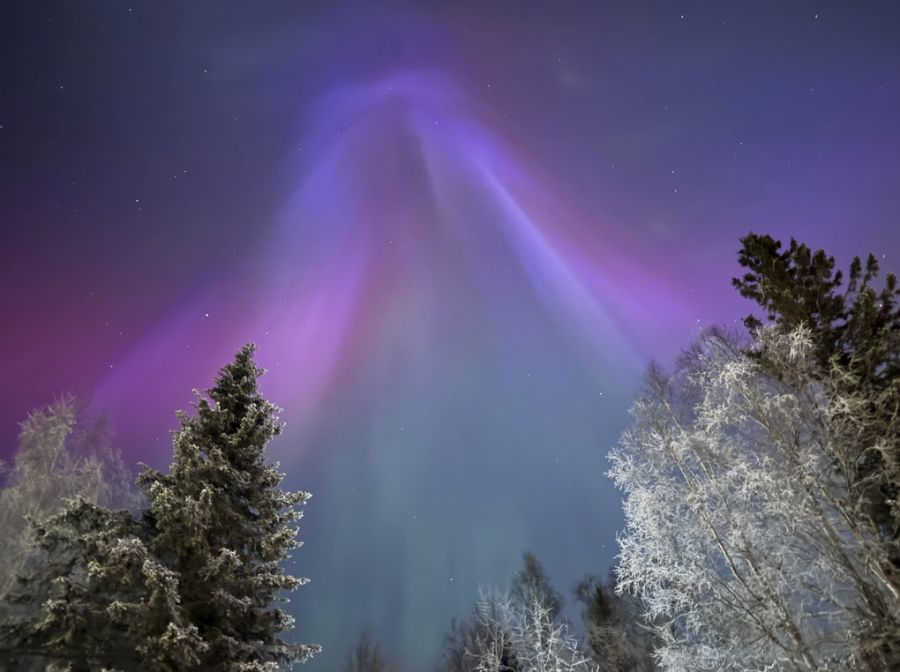 Eine US-Familie verzichtet unter anderem deshalb sogar auf die Nordlichter in Alaska.