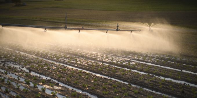 Künstliche Bewässerung dürfte für die Schweizer Bauern in Zukunft zum Alltag gehören. Bauern Bewässerung