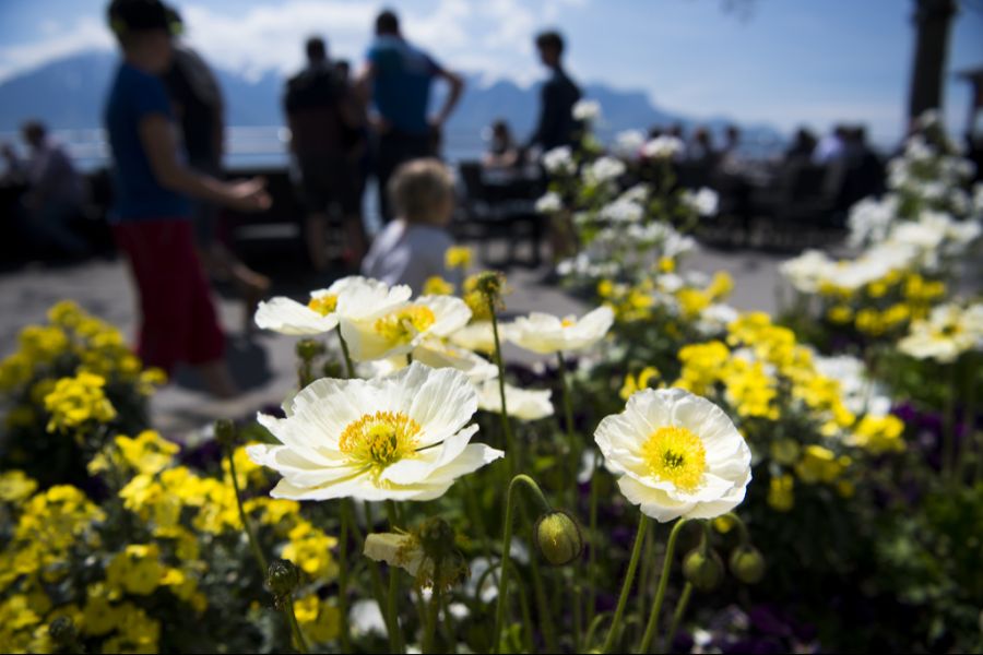 Grosse Temperaturumschwünge sind im Frühling nicht aussergewöhnlich.